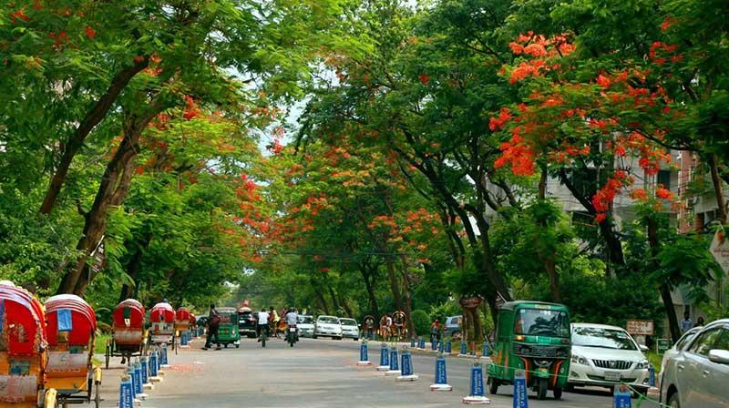 Several Nice Location of Bashundhara RA