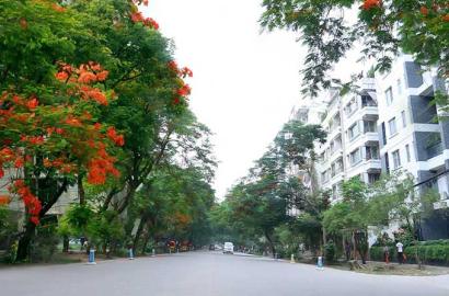 Several Nice Location of Bashundhara RA